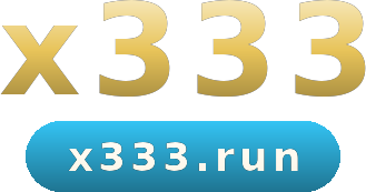 x333 logo
